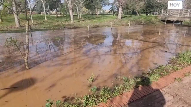 Así va el río Guadiana a su paso por Mérida