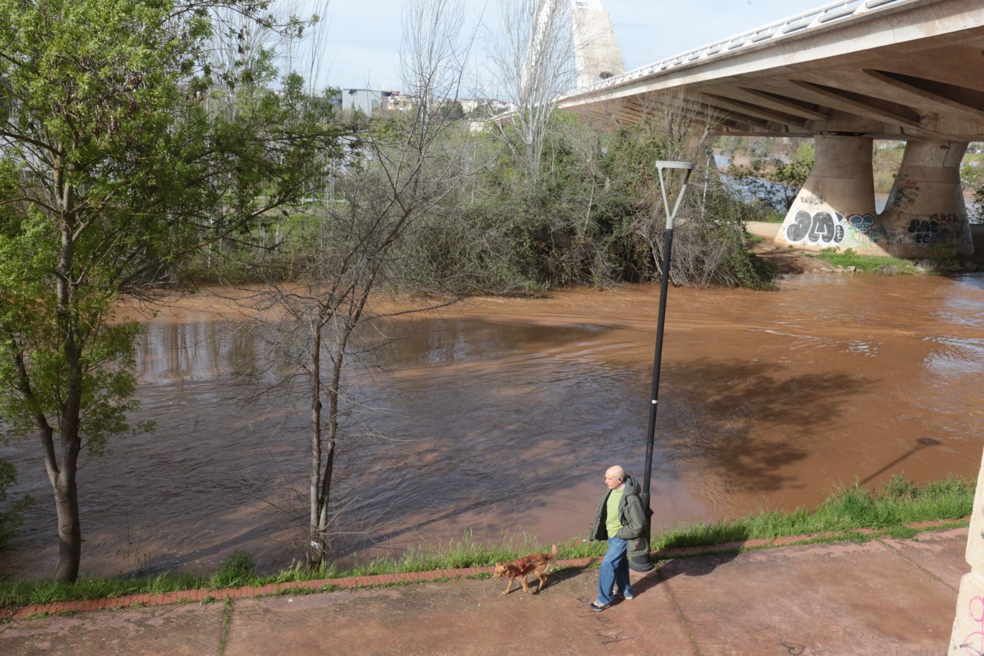 Así han quedado los parques de Extremadura tras la crecida del Guadiana