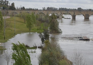 La crecida del Guadiana en Badajoz, en imágenes