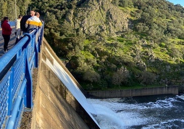 La CHG defiende que la vegetación de los ríos reduce el riesgo de inundación en Badajoz