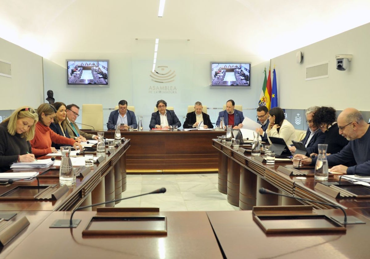 Reunión de la Comisión de Hacienda en la Asamblea de Extremadura para votar el proyecto de ley.