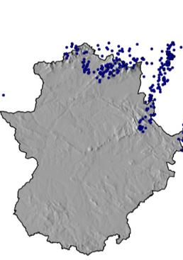 Imagen - Descargas eléctricas este jueves en Extremadura.