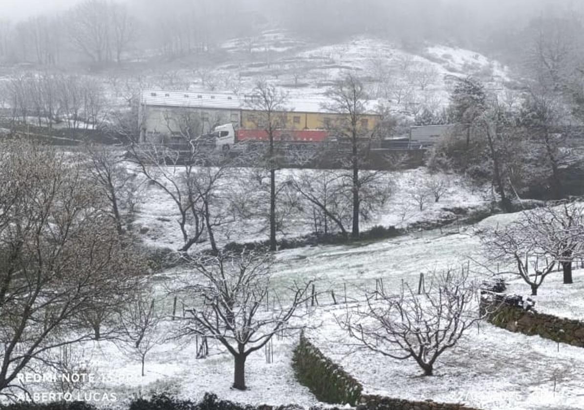 Nieve en Tornavacas.