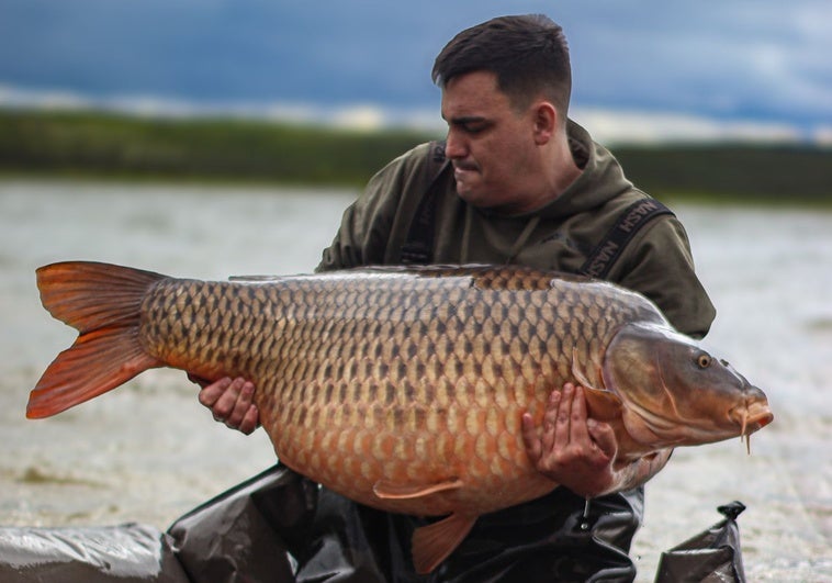 Un pescador extremeño saca una carpa de más de 35 kilos en el pantano de Orellana