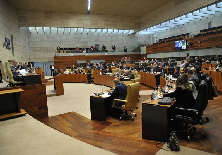 La rebaja fiscal, la acogida de migrantes y la seguridad en pisos tutelados centran el pleno de la Asamblea