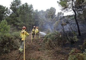 El Infoex propone crear nuevos retenes en Cáceres, Plasencia, Don Benito, Zafra, Coria y Trujillo