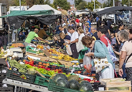 Mercadillo de Cáceres de los miércoles en Vegas del Mocho.