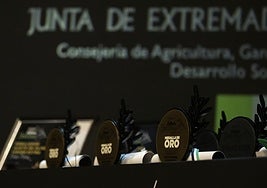 Fotos | Así ha sido la gala de premios a los mejores aceites de Extremadura