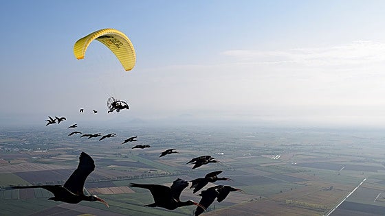 Un viaje de fantasía para morir a balinazos en Extremadura