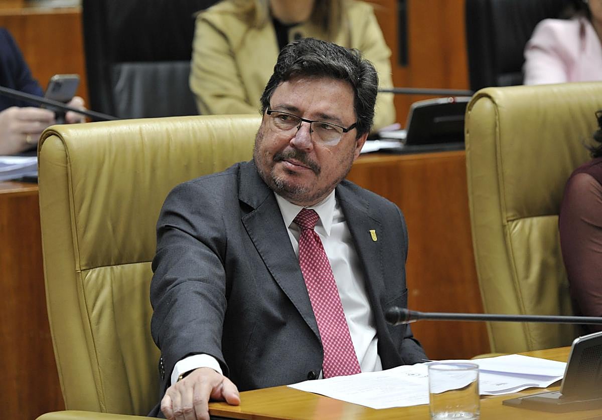 El consejero de Economía, Guillermo Santamaría, durante su intervención en el pleno en la Asamblea.