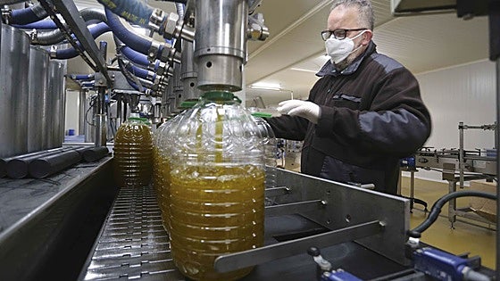 Las grandes cooperativas extremeñas disparan su facturación un 12%, que roza los 600 millones