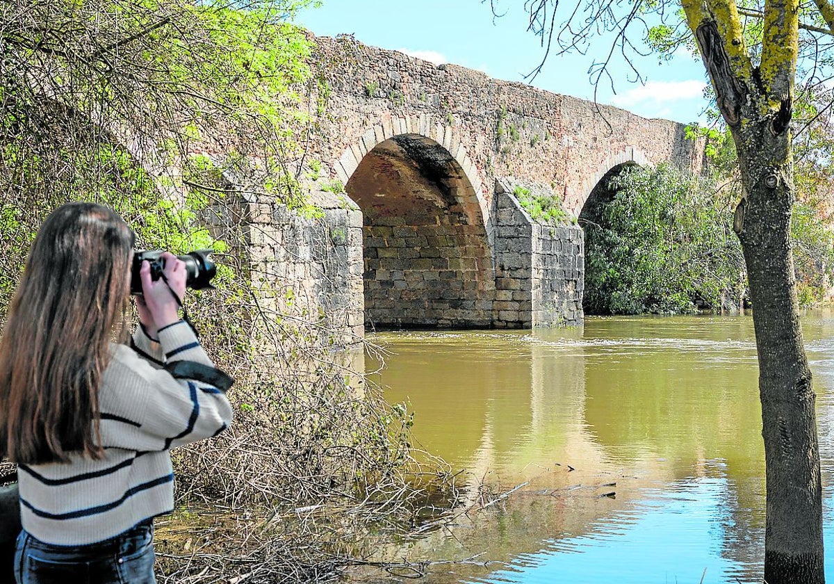 Confederación encarga el proyecto para arreglar el puente de Cantillana