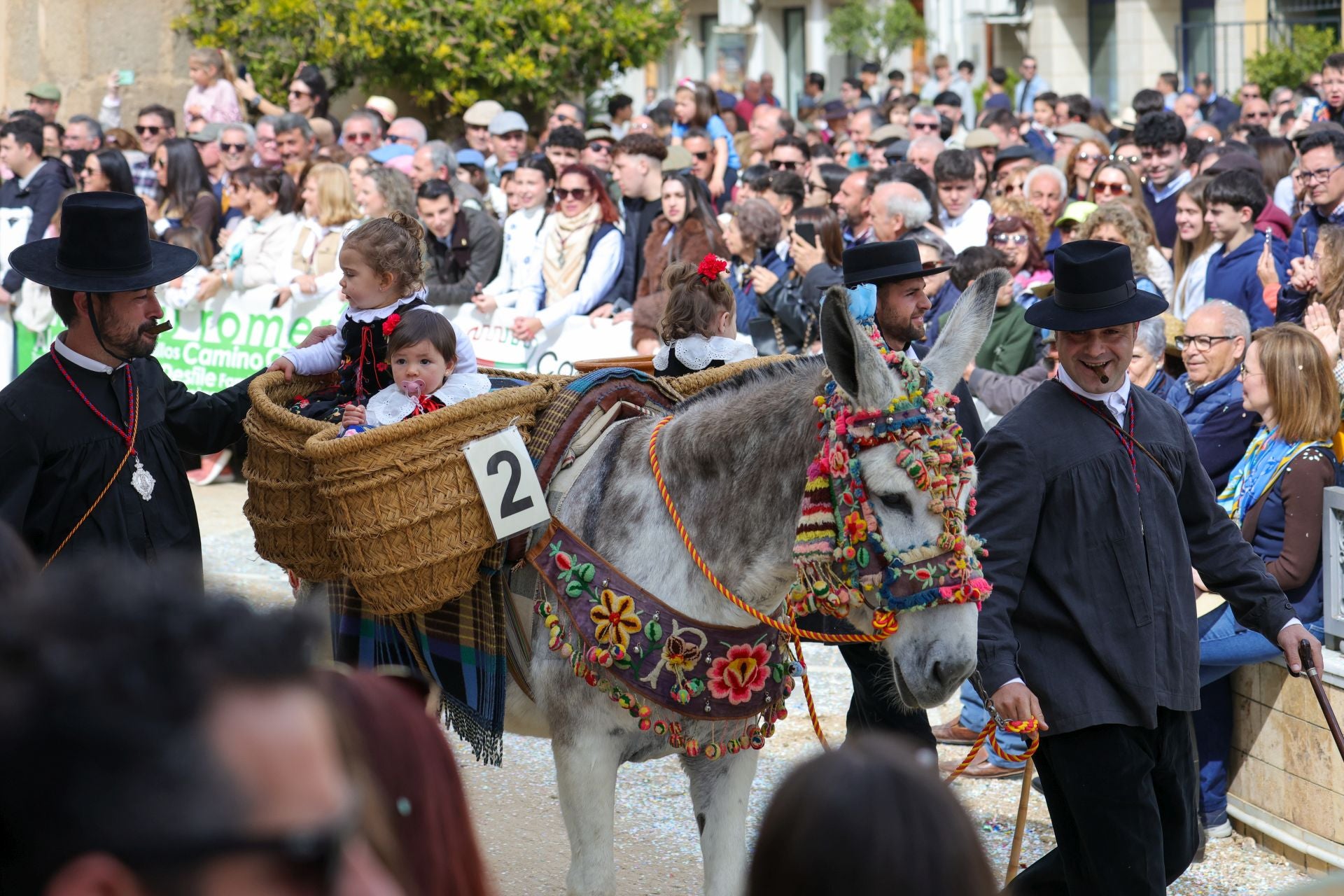 Fotos: Desfile de carrozas de la romería de Piedraescrita de Campanario