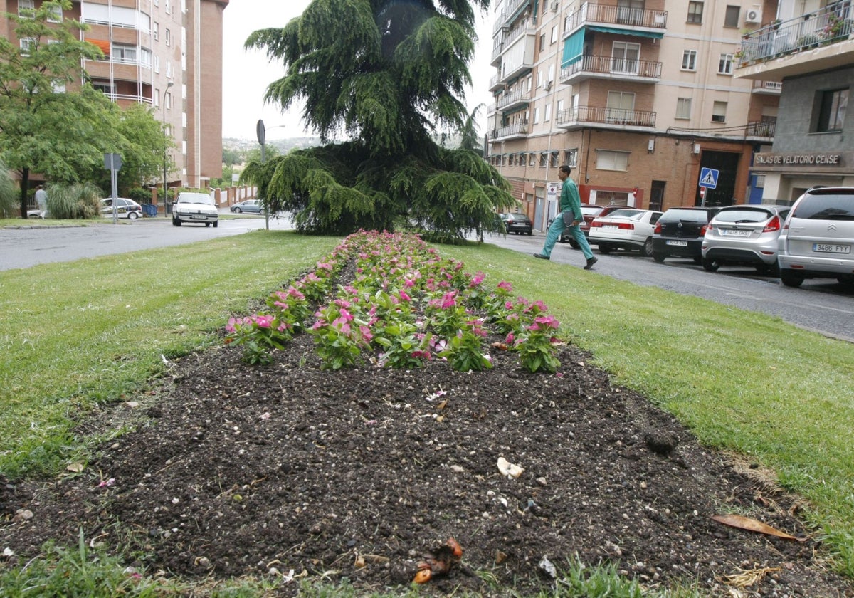 La Policía Local de Cáceres identifica a los dos ocupantes del coche que atropelló a una mujer en la calle Viena y se dio a la fuga