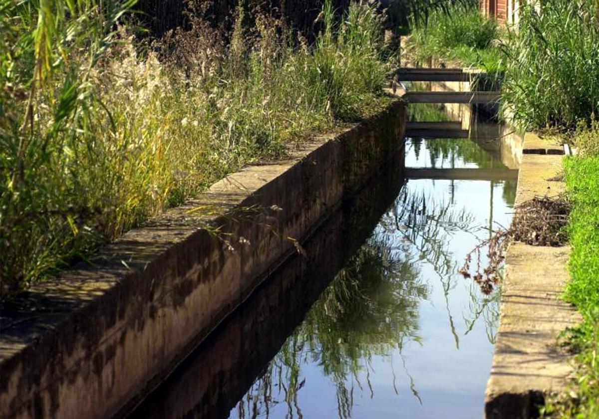 Acequia con agua contaminada.