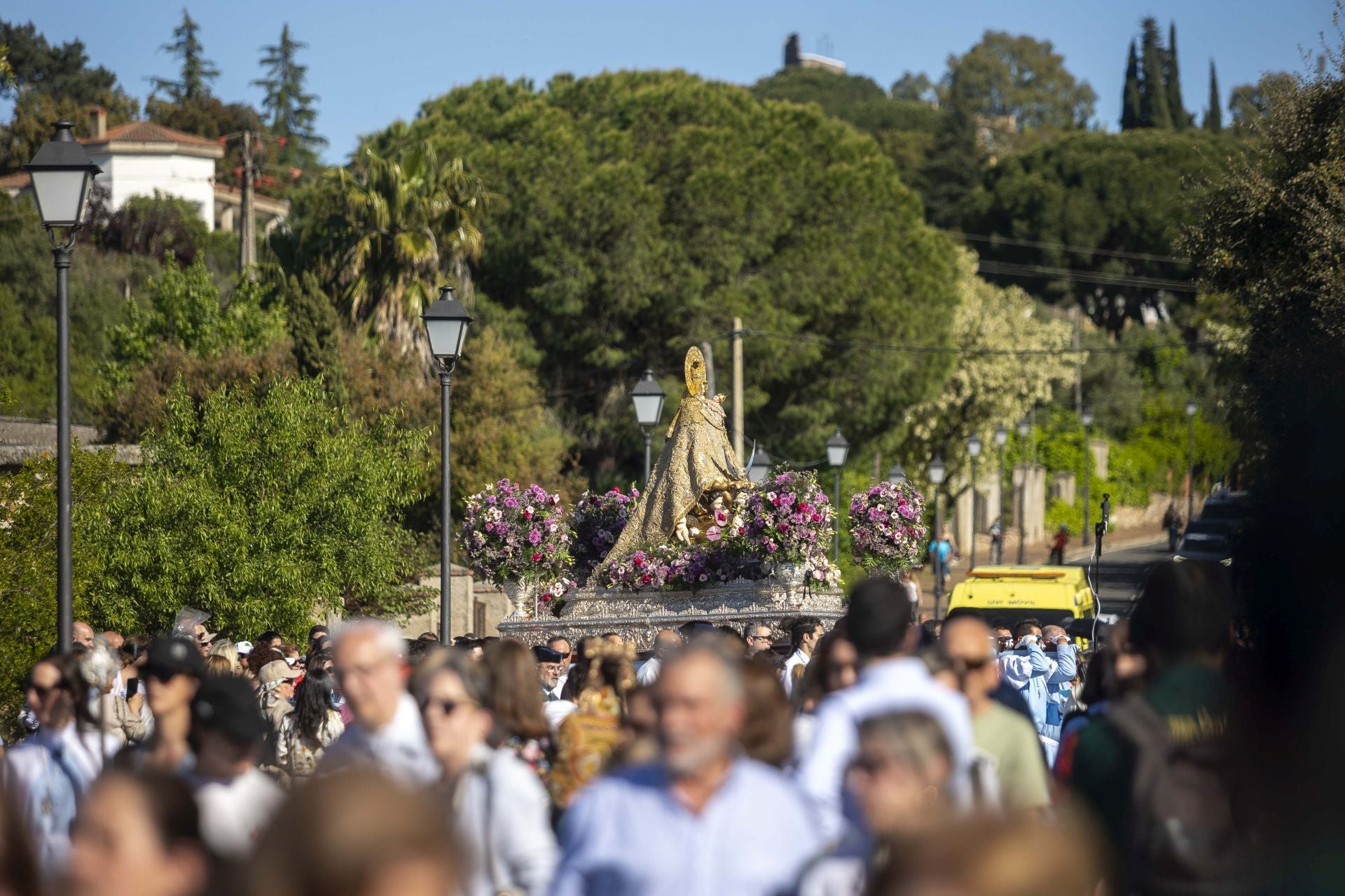 La bajada de la Virgen de la Montaña a la ciudad, en imágenes