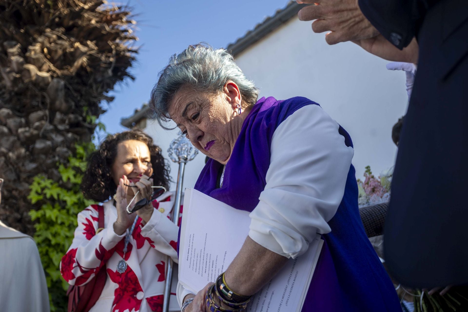 La bajada de la Virgen de la Montaña a la ciudad, en imágenes