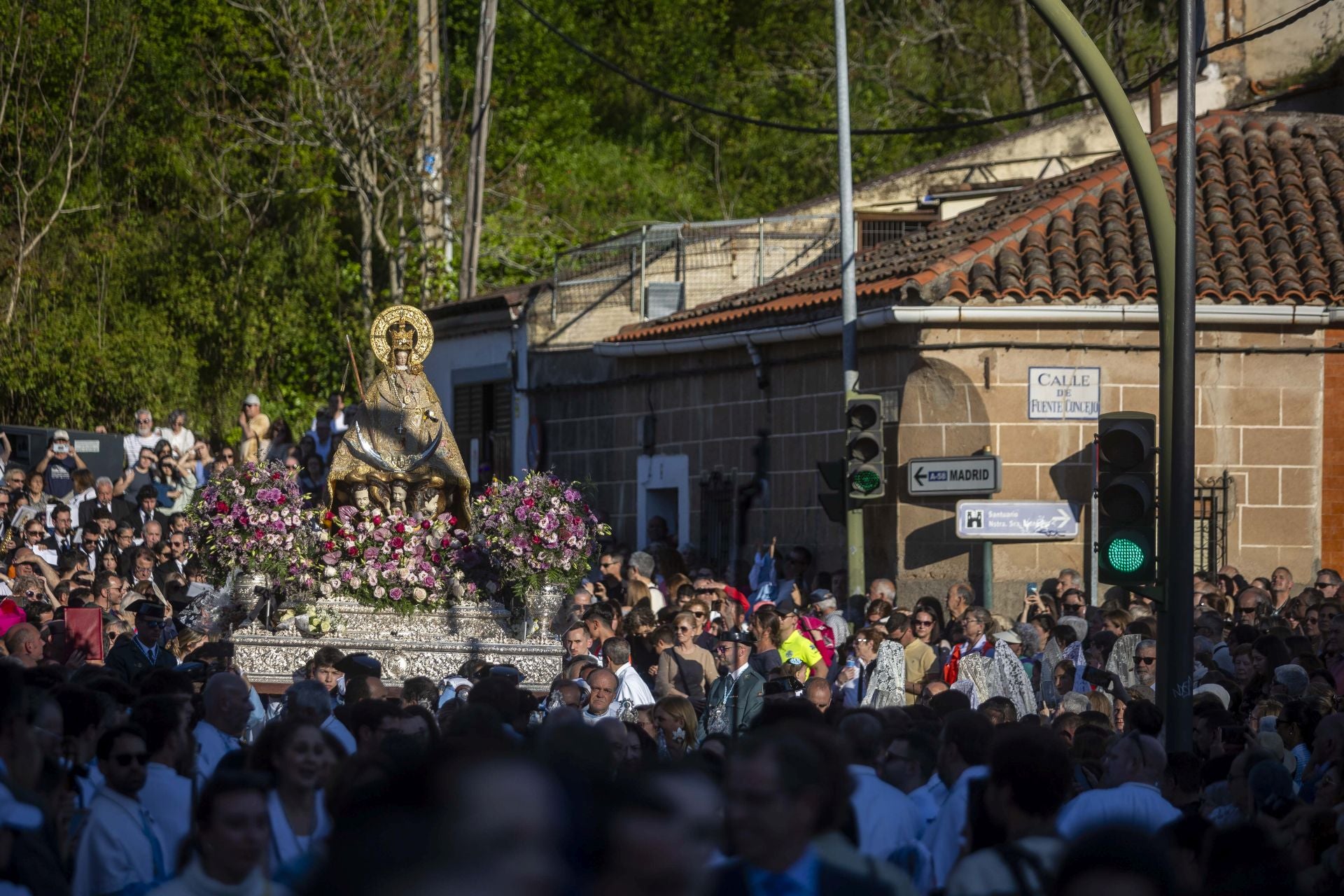 La bajada de la Virgen de la Montaña a la ciudad, en imágenes
