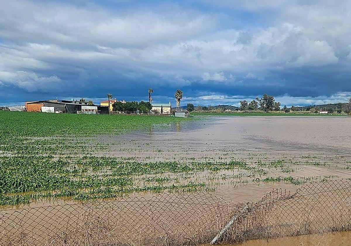 Campo inundado por la crecida del Zújar y el arroyo del Molar el pasado 18 de marzo.