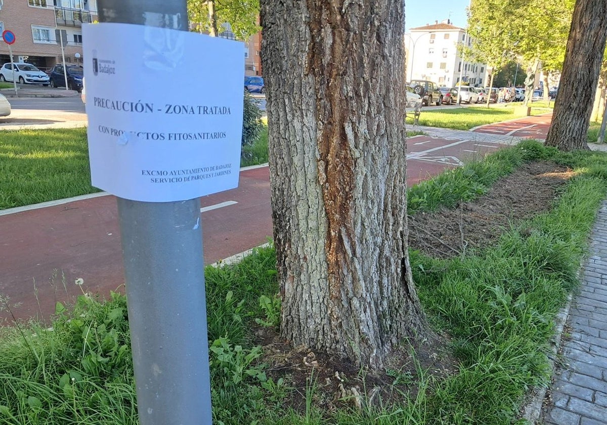 La fumigación de Badajoz contra insectos y malas hierbas será en mayo
