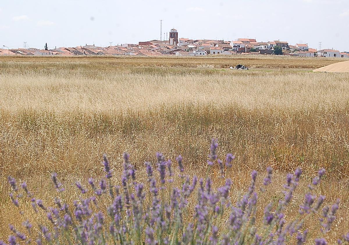 Imagen principal - Campillo de Llerena está rodeado de un gran entorno natural.