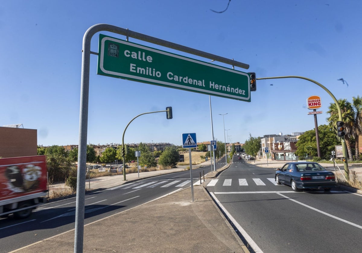 Ocho meses sin conducir y multa por daños a un árbol cuando conducía ebrio en Cáceres