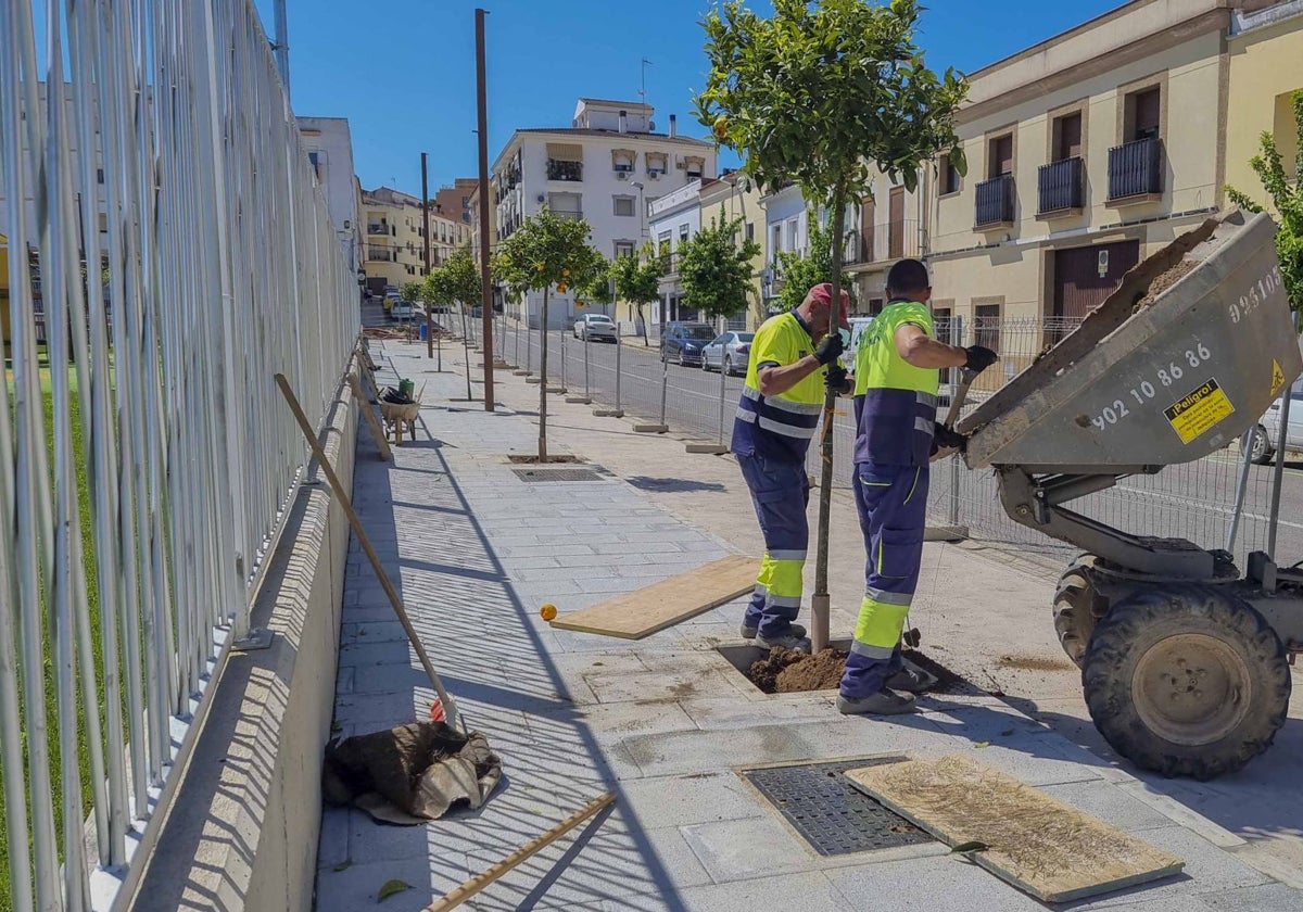 Trabajos de urbanización en el entorno de la Ciudad de la Infancia, una obra que tendrá una segunda fase.