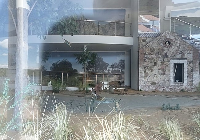 Maleza en primer término, y al fondo algunas aves y el acceso al edificio cerrado.