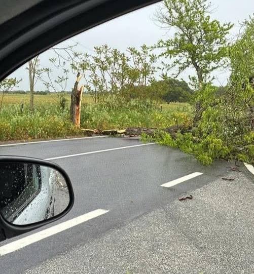 Fotos | El paso del «mini tornado» por Campomayor