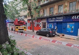 Vehículo con la luna trasera rota por la caída de un árbol.