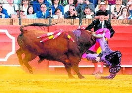 El banderillero extremeño Javier Ambel, corneado en La Maestranza