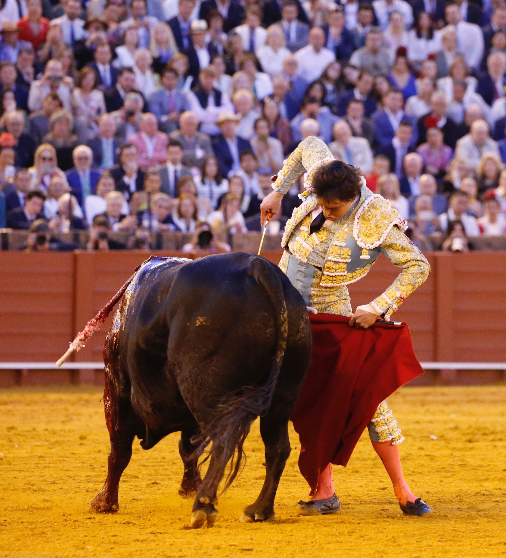 Las mejores imágenes del festejo con Perera, Roca Rey y Juan Ortega
