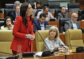 La consejera de Salud, Sara García Espada, en el pleno de la Asamblea.
