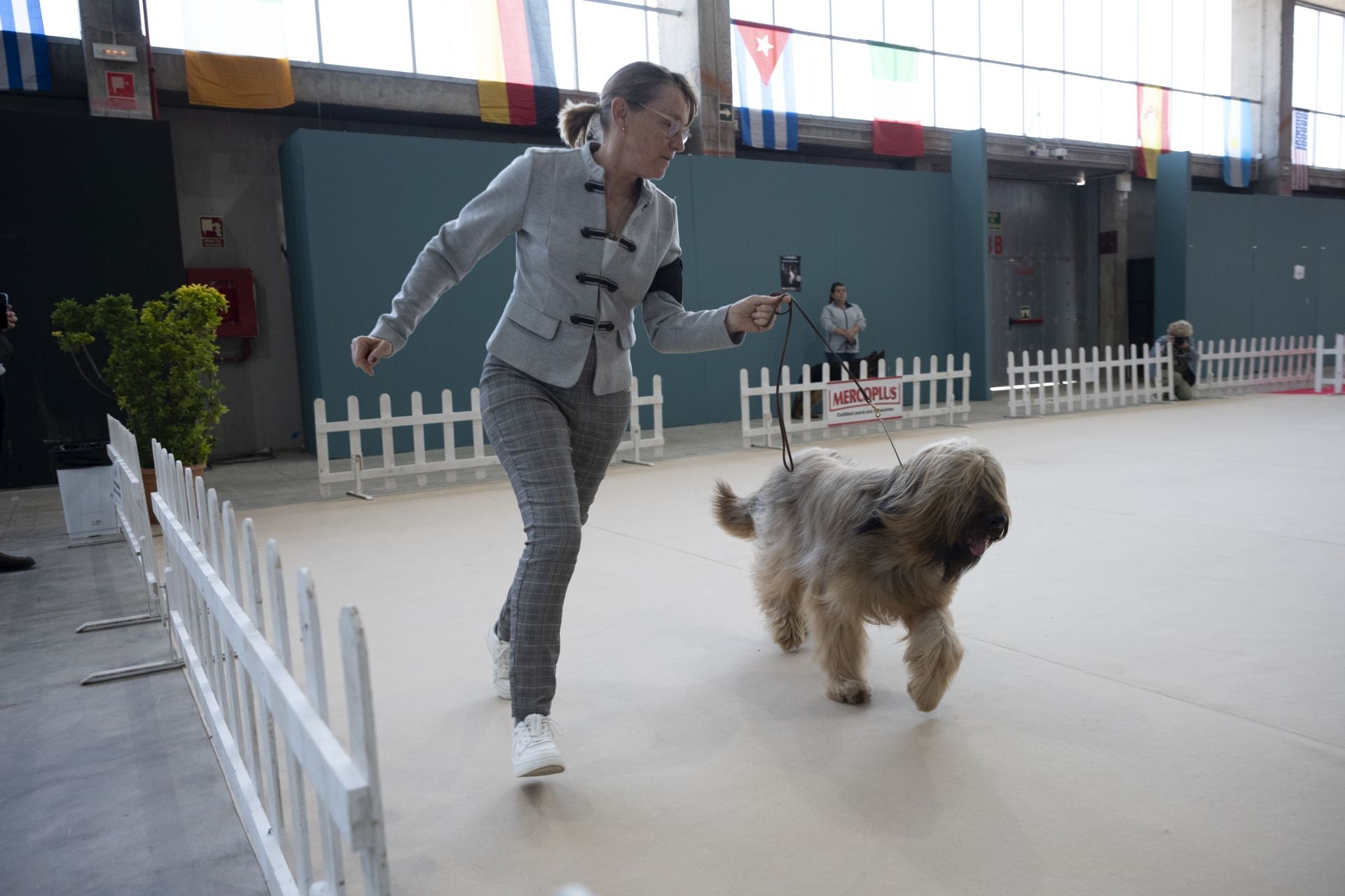 Las mejores imágenes de la Exposición Canina Internacional en Ifeba
