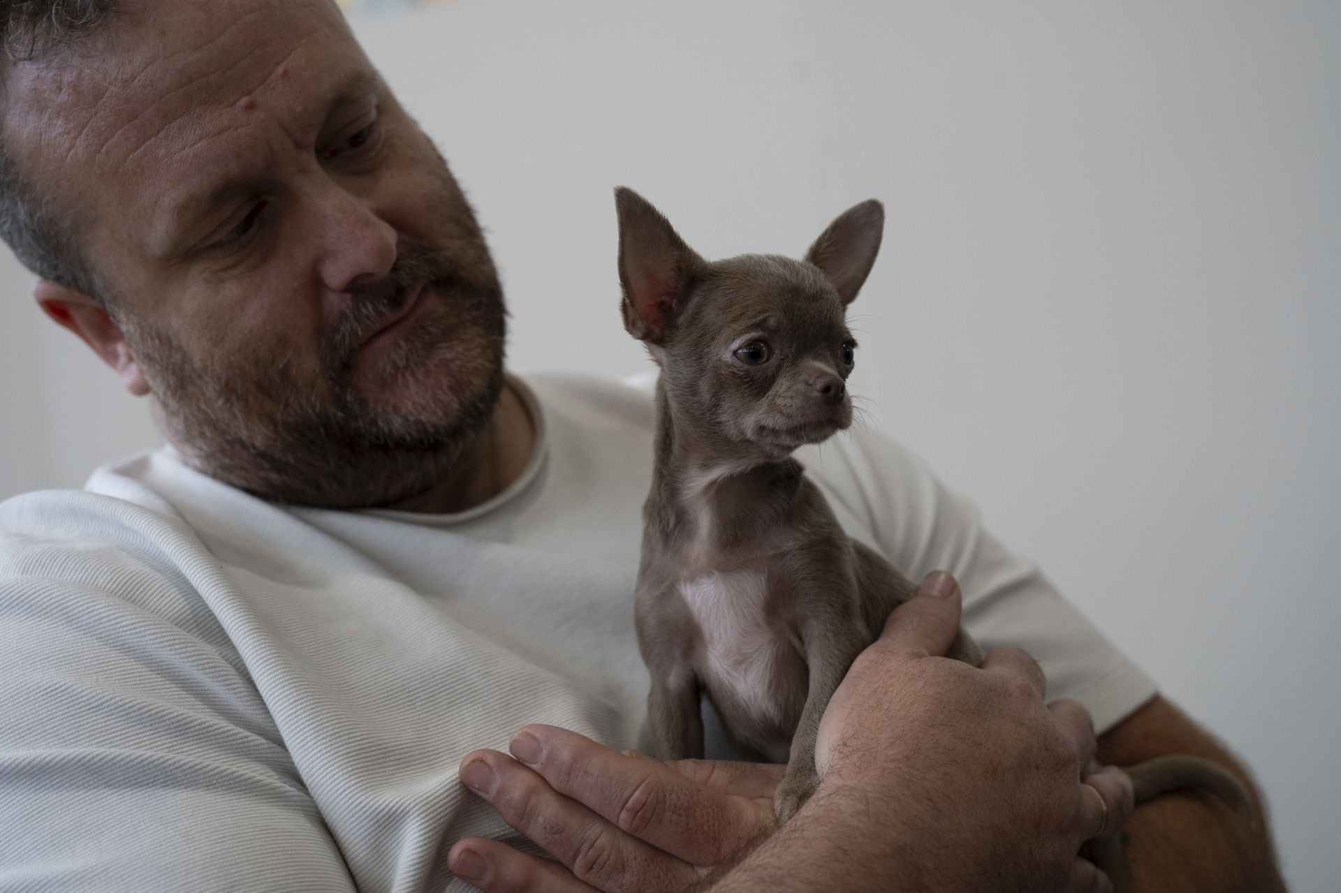 Las mejores imágenes de la Exposición Canina Internacional en Ifeba