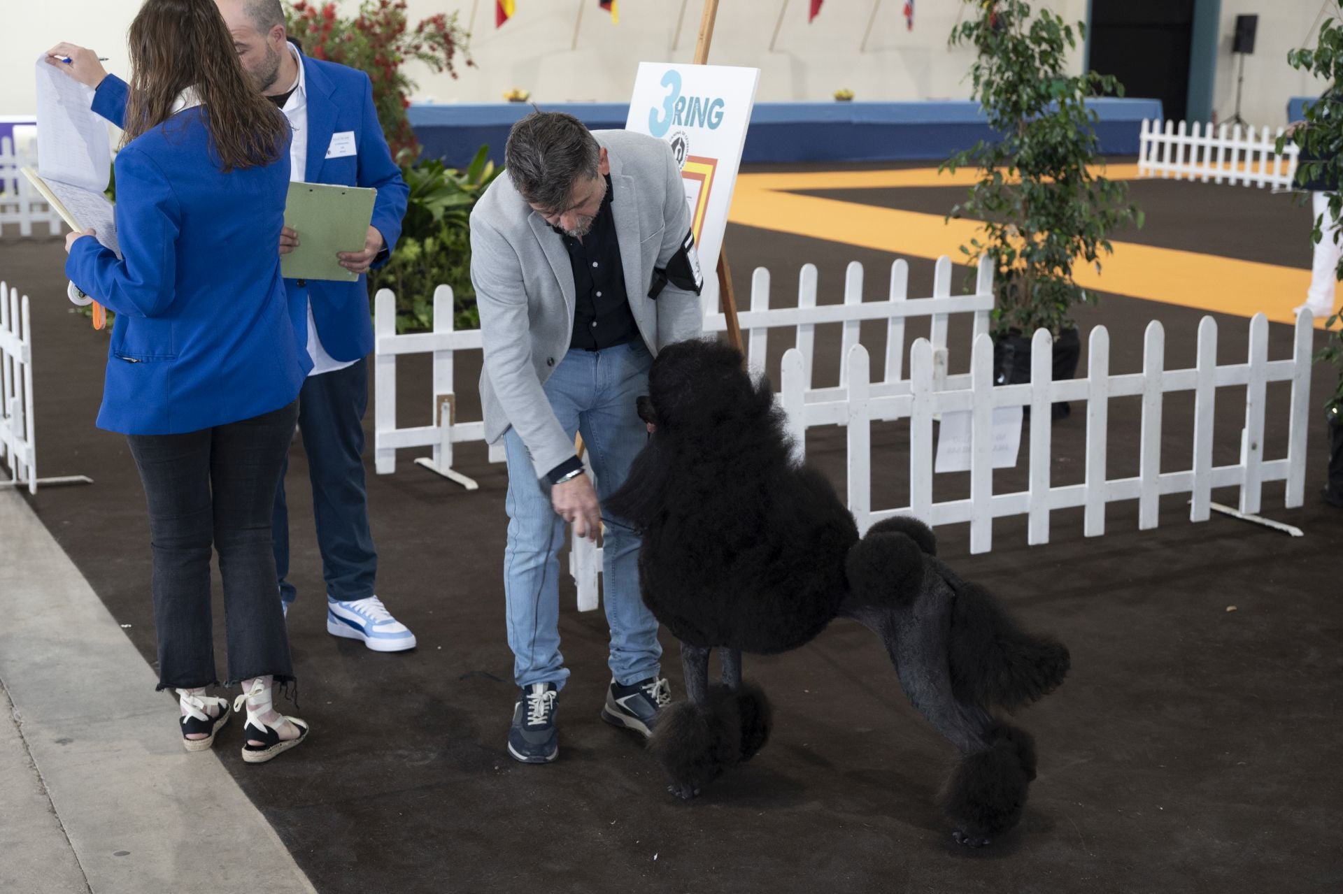 Las mejores imágenes de la Exposición Canina Internacional en Ifeba