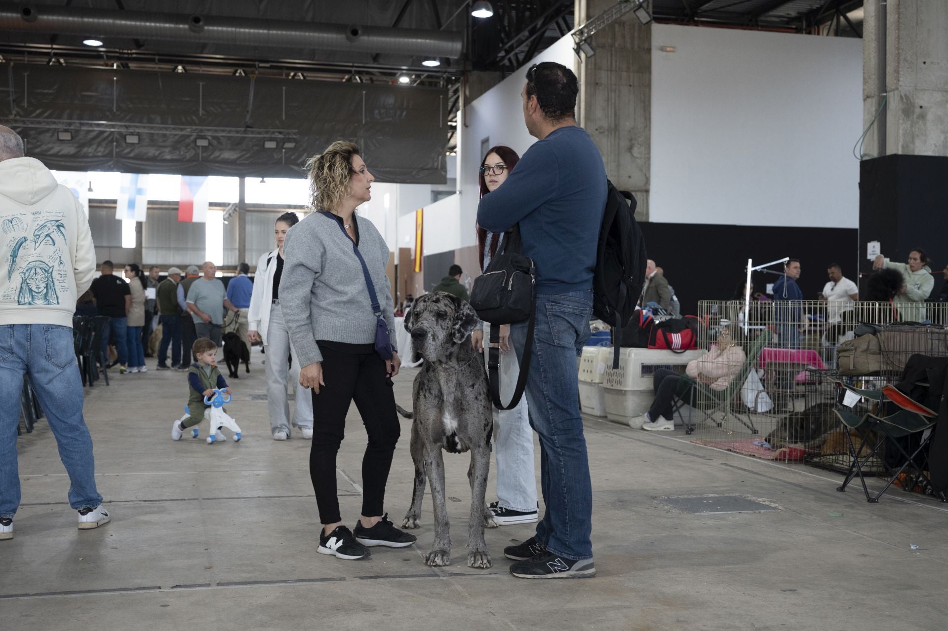 Las mejores imágenes de la Exposición Canina Internacional en Ifeba