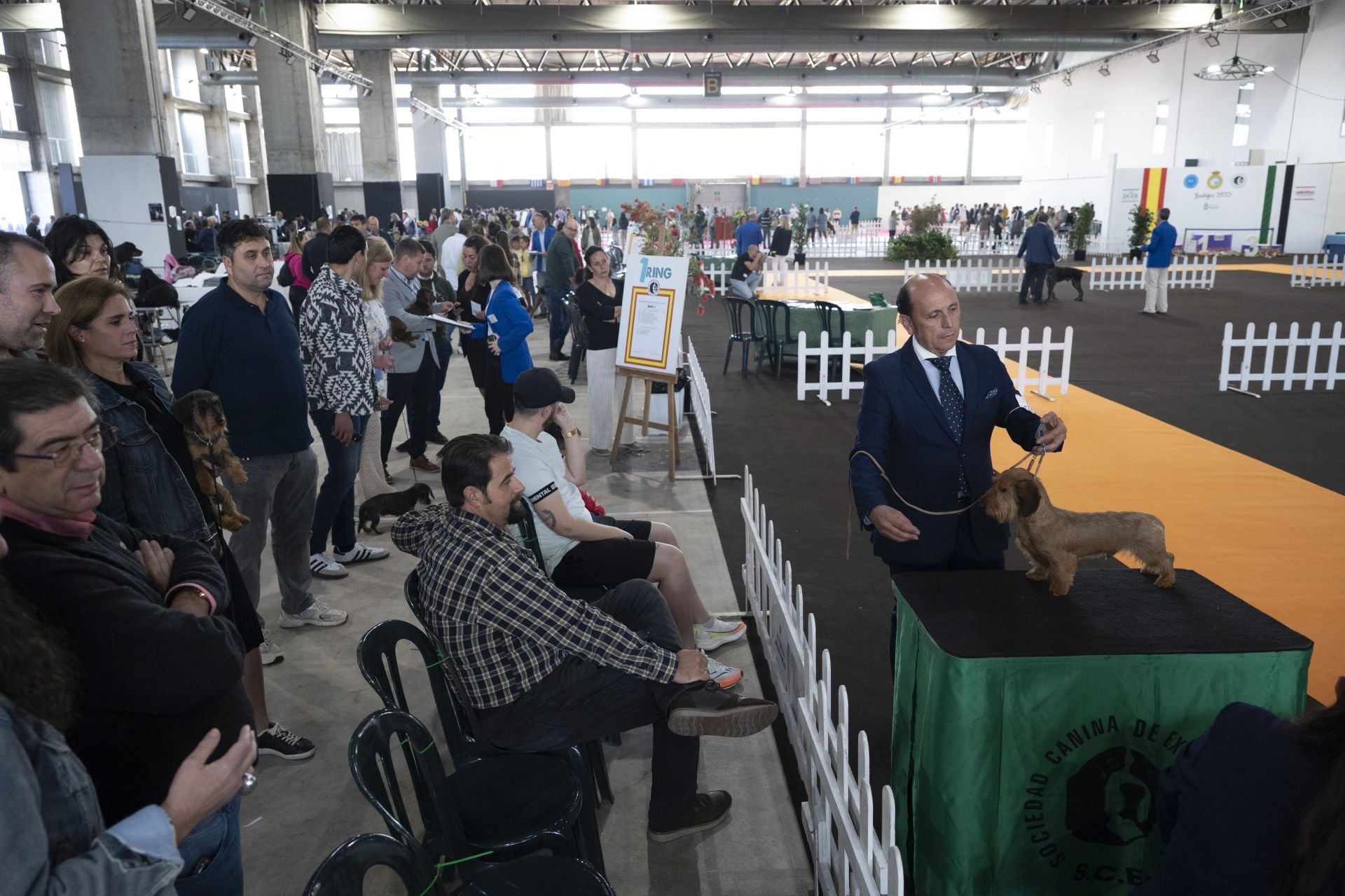 Las mejores imágenes de la Exposición Canina Internacional en Ifeba