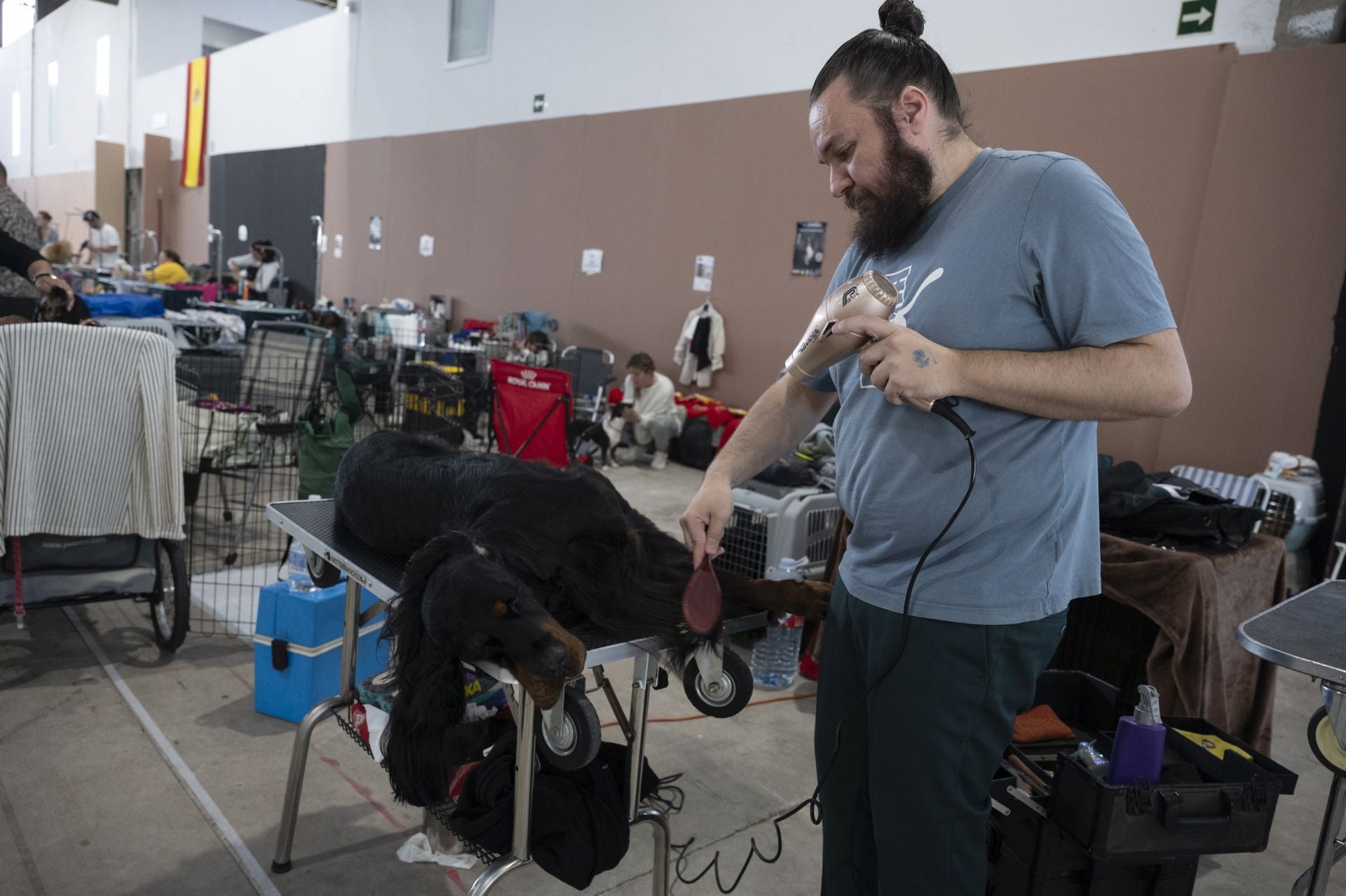 Las mejores imágenes de la Exposición Canina Internacional en Ifeba