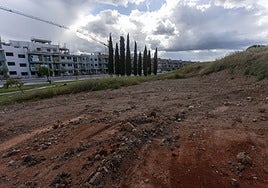 Terrenos municipales que salen a subasta en la calle José Arcadio Buendía.