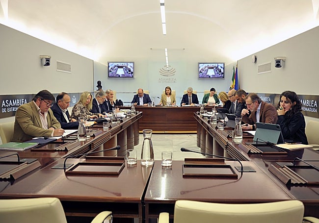 Diputado en la comisión de investigación del proyecto de regadío de Tierra de Barros, esta mañana, en la Asamblea.