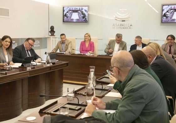 La consejera de Hacienda, Elena Manzano, en su comparecencia ante la comisión de la Asamblea.