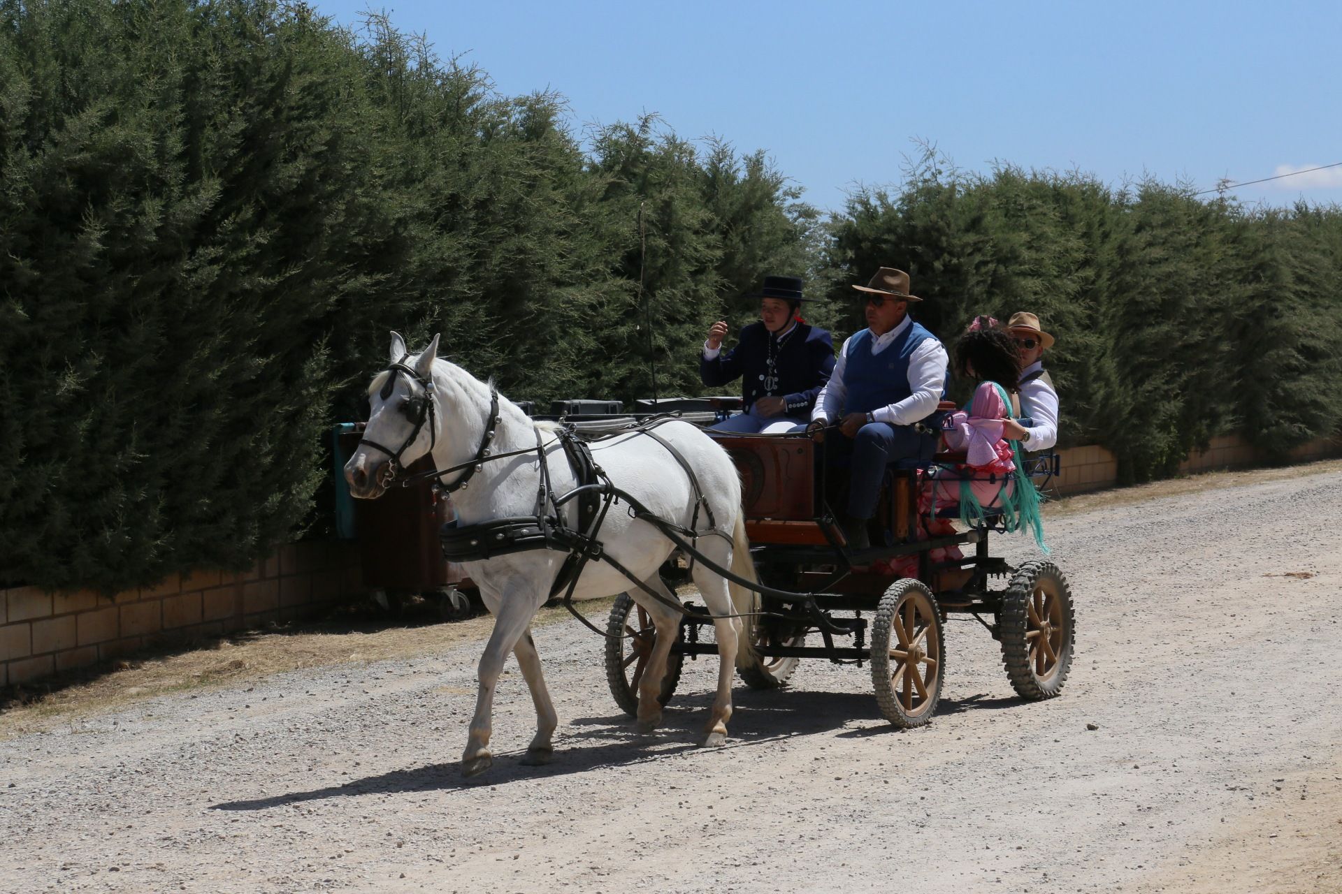 La romería de San Isidro de Villafranca de los Barros, en imágenes