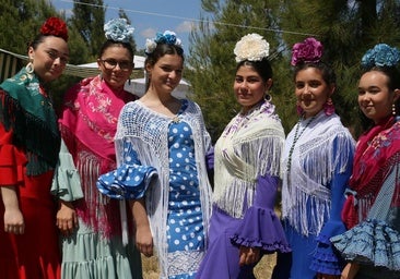 La romería de San Isidro de Villafranca de los Barros, en imágenes
