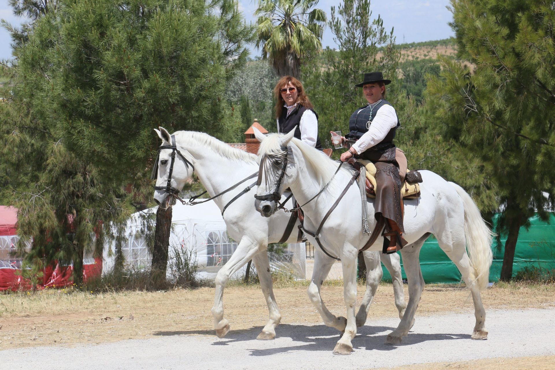 La romería de San Isidro de Villafranca de los Barros, en imágenes