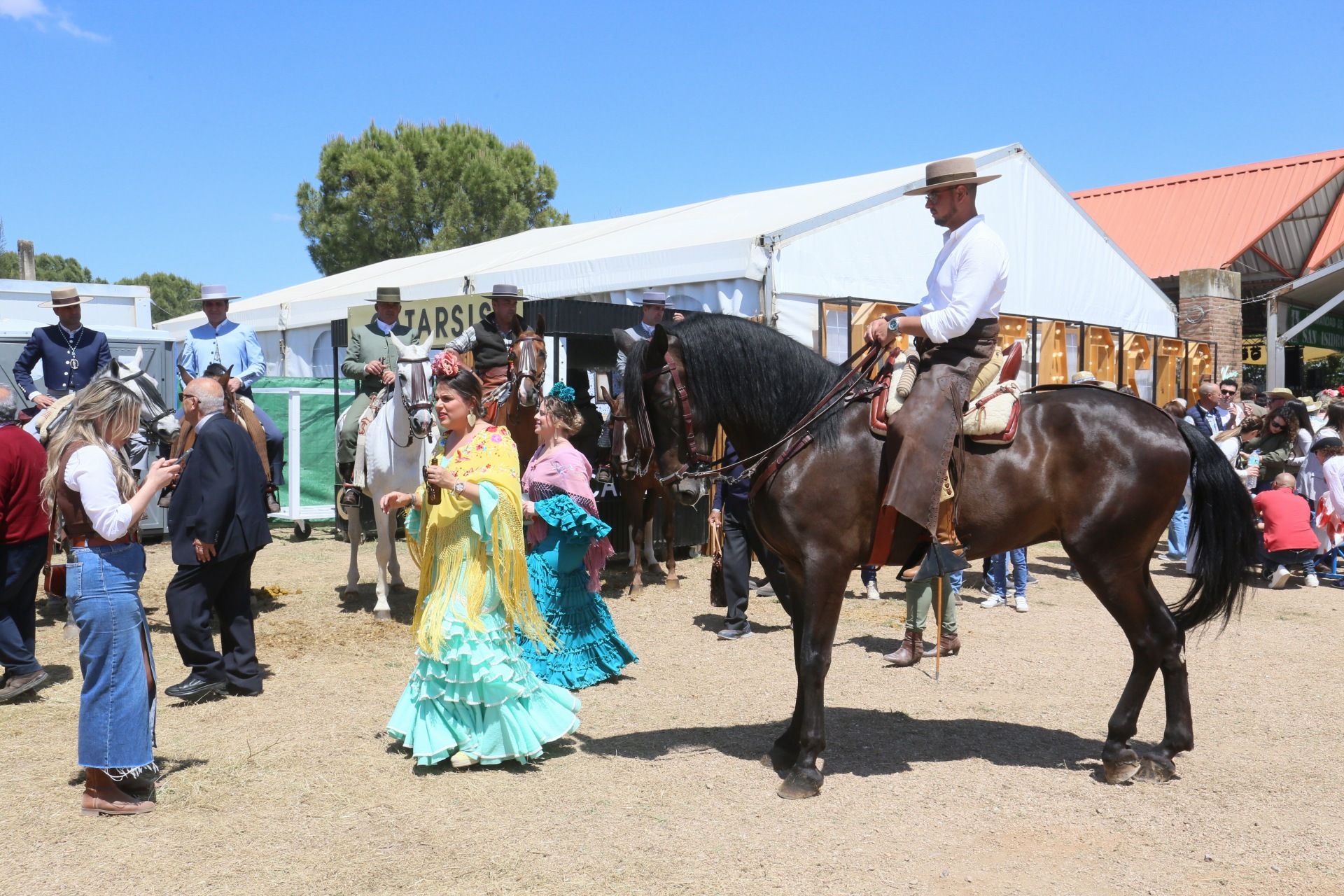 La romería de San Isidro de Villafranca de los Barros, en imágenes