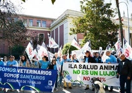 Protesta de veterinarios en la avenida de Huelva de Badajoz el pasado mes de marzo.