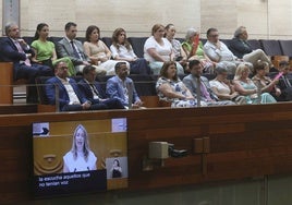 Miguel Ángel Gallardo, junto al alcalde de Mérida, Antonio Rodríguez Osuna, en la tribuna de invitados de la Asamblea de Extremadura.