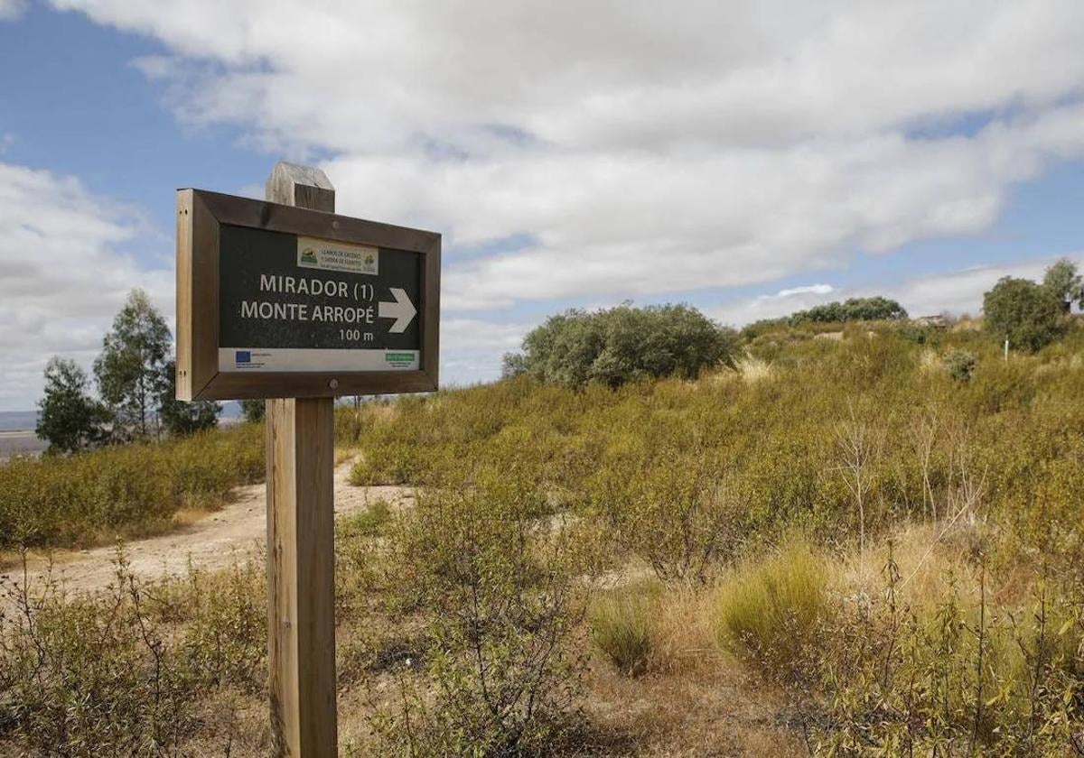 La Ley Agraria es modificada para soterrar líneas de luz o agua bajo los caminos