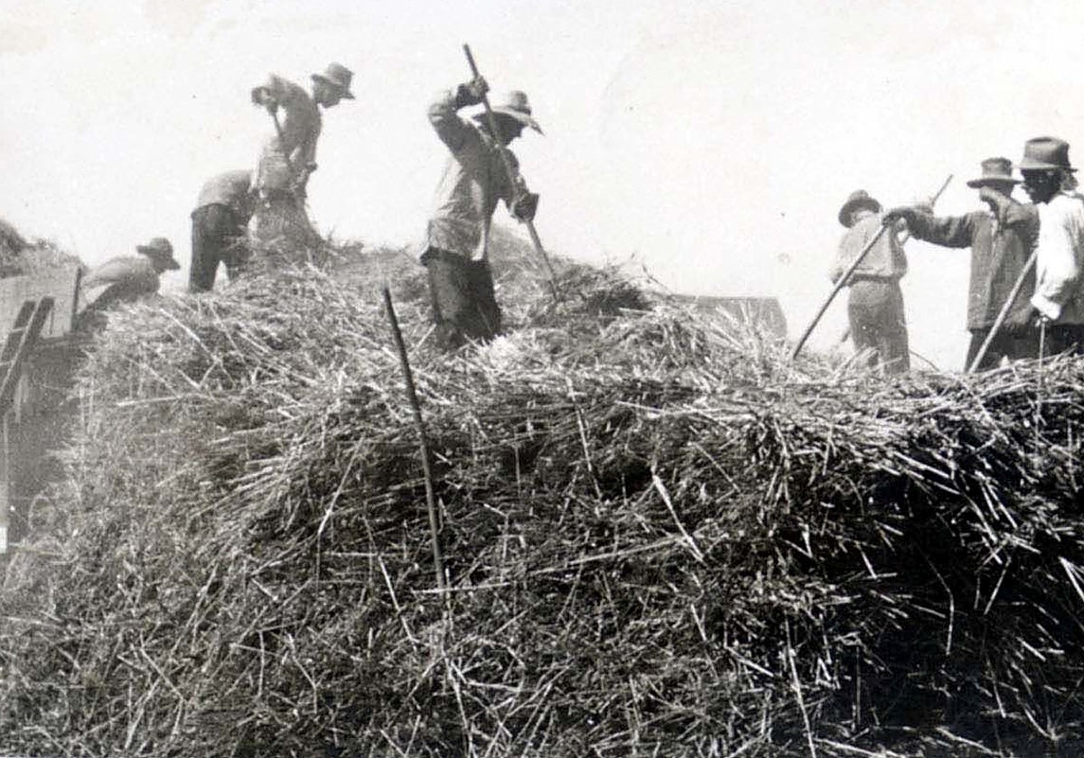 El asesinato fue cometido en una era.
